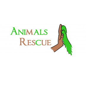 animals rescue