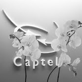 Captel